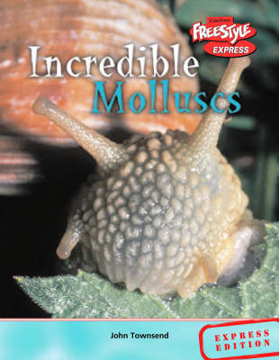 Book cover for Freestyle Max Incredible Creatures Molluscs