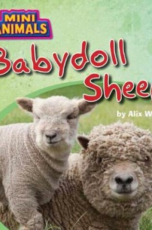 Cover of Babydoll Sheep