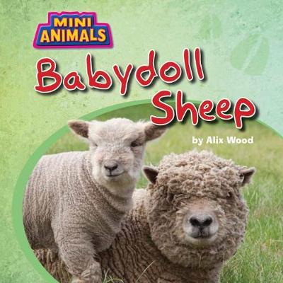Cover of Babydoll Sheep