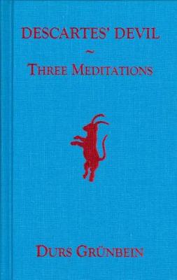 Book cover for Descartes' Devil: Three Meditations