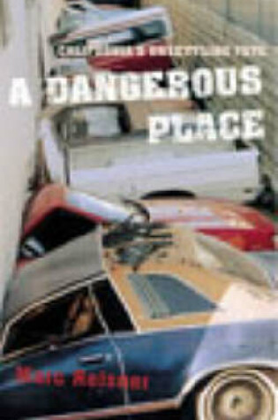 Cover of A Dangerous Place