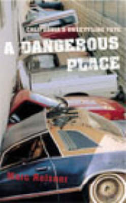 Book cover for A Dangerous Place