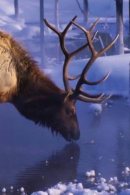 Cover of Winter Elk Journal