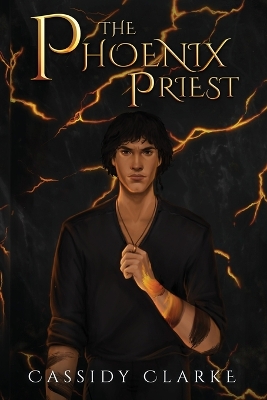 Book cover for The Phoenix Priest