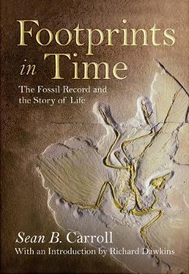 Book cover for Footprints in Time