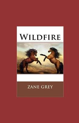 Book cover for Wildfire illustrated