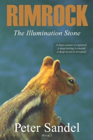 Cover of The Illumination Stone