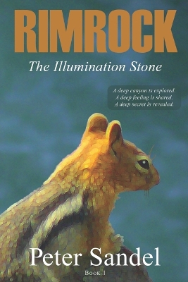 Cover of The Illumination Stone