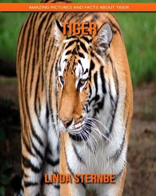 Book cover for Tiger