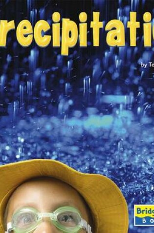 Cover of Precipitation