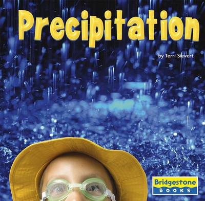 Book cover for Precipitation