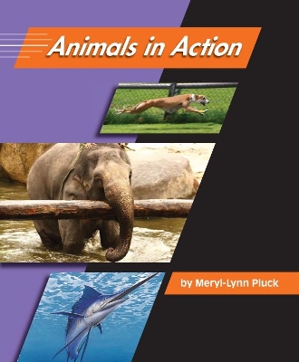 Cover of Animals in Action