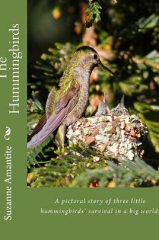 Cover of The Hummingbirds