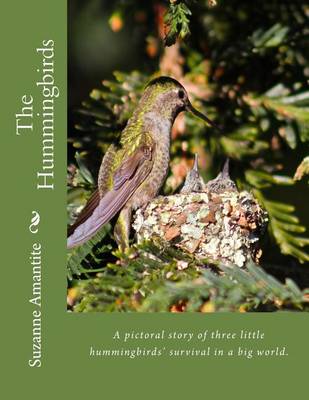 Book cover for The Hummingbirds