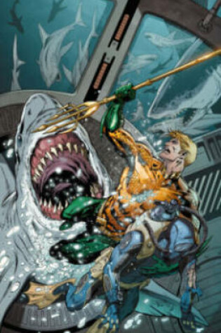 Cover of Aquaman Vol. 5 (The New 52)
