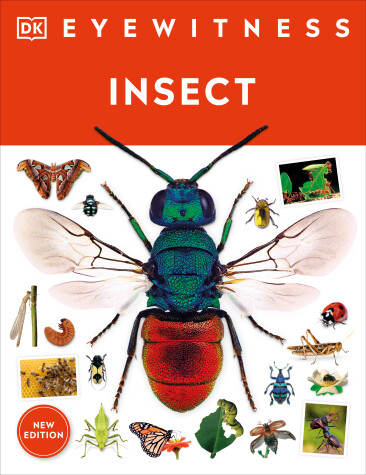 Cover of Eyewitness Insect