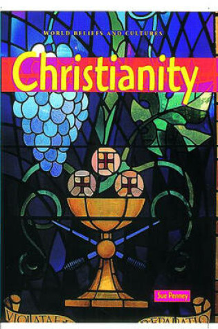 Cover of WORLD BELIEFS:CHRISTIANITY PB(C