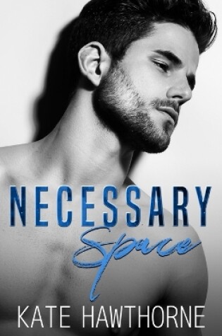 Cover of Necessary Space