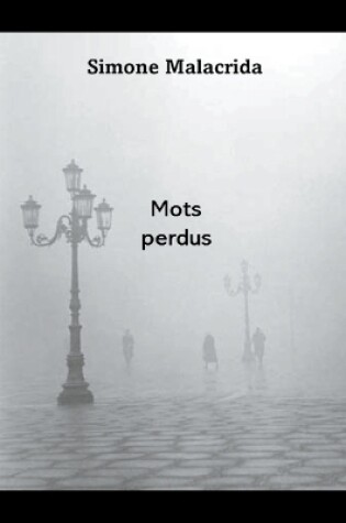 Cover of Mots perdus