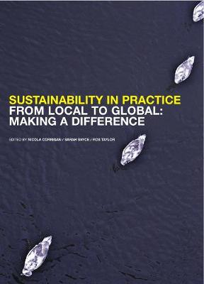Book cover for Sustainability In Practice From Local To Global