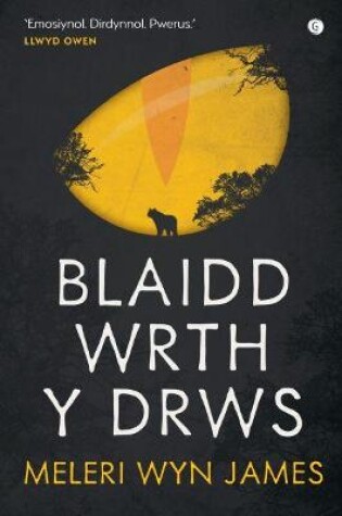 Cover of Blaidd wrth y Drws