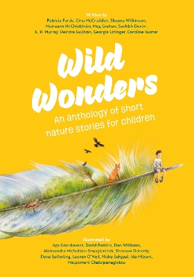 Book cover for Wild Wonders