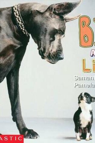 Cover of Big and Little