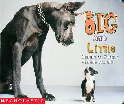 Book cover for Big and Little