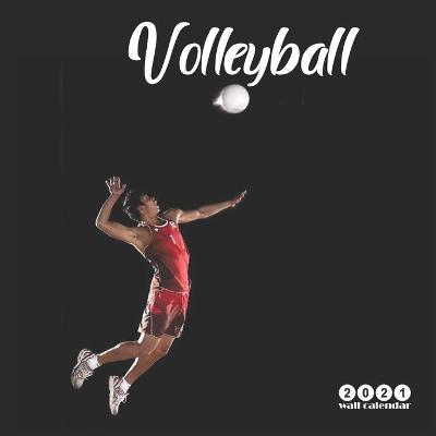 Book cover for Volleyball 2021 Wall Calendar