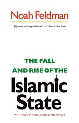 Book cover for The Fall and Rise of the Islamic State