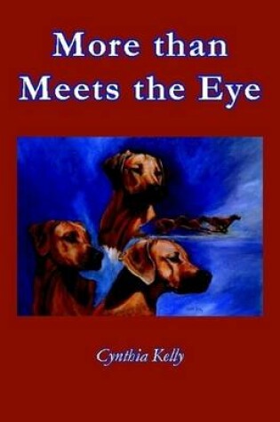 Cover of More Than Meets the Eye