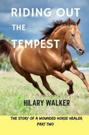 Cover of Riding Out the Tempest