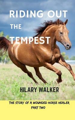 Book cover for Riding Out the Tempest