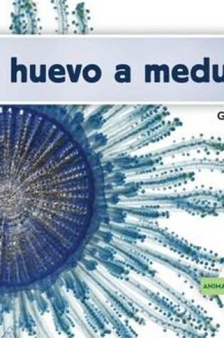 Cover of de Huevo a Medusa (Becoming a Jellyfish)