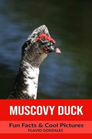 Cover of Muscovy Duck