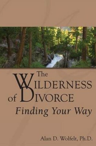 Cover of Wilderness of Divorce