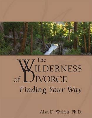 Cover of Wilderness of Divorce