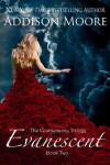 Book cover for Evanescent