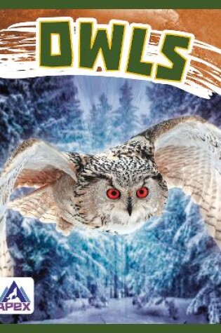 Cover of Birds of Prey: Owls