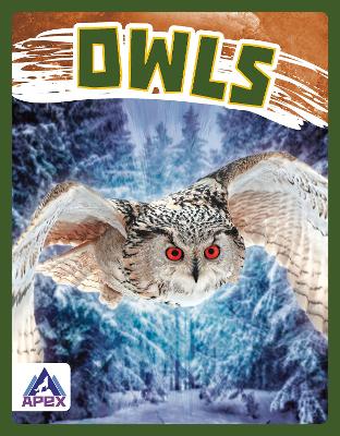 Cover of Owls