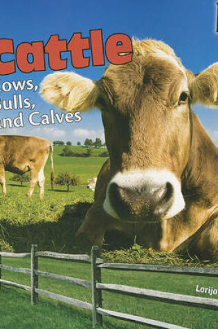 Cover of Cattle