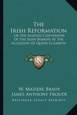 Book cover for The Irish Reformation