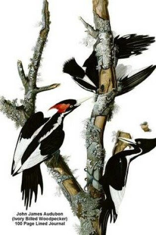 Cover of John James Audubon (Ivory Billed Woodpecker) 100 Page Lined Journal