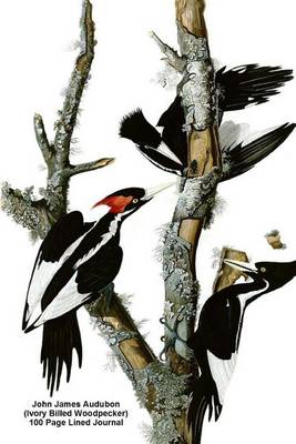 Book cover for John James Audubon (Ivory Billed Woodpecker) 100 Page Lined Journal