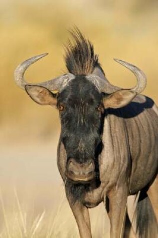 Cover of Blue Wildebeest Is Checking You Out Journal