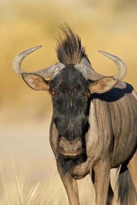 Book cover for Blue Wildebeest Is Checking You Out Journal