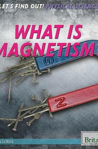 Cover of What Is Magnetism?