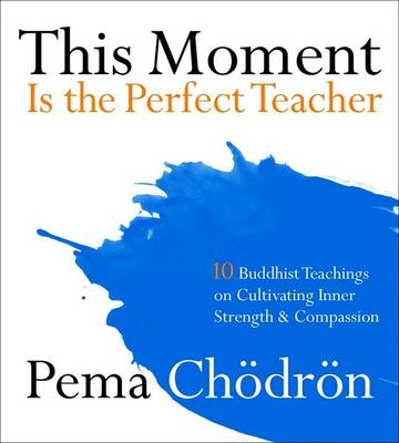 Book cover for This Moment is the Perfect Teacher