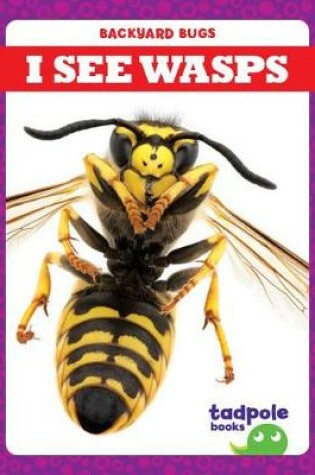 Cover of I See Wasps