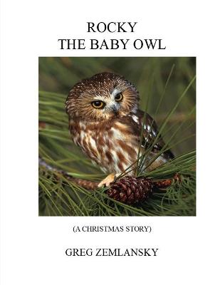 Book cover for Rocky the Baby Owl